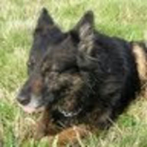 Meet your Posher, Judy